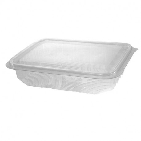 PCP5316389 Env. gra.Lonch 850 193x143x40 PET /400