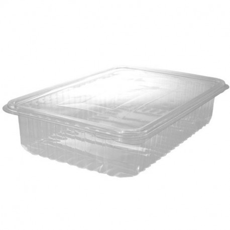 PCP5316393 Env.Bgra.Lonch.H40 PET - 50 - 400