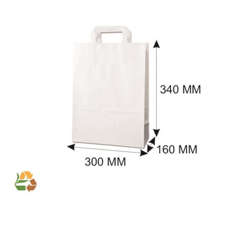 Bolsa Asa Plana PAPEL Banca 300X160X340mm. /250