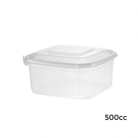 Envase Bisagra Cuadrado SEGURIDAD 500 cc. /300