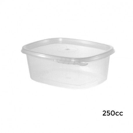 6V0250/T Envase Bisagra Ov. Seg. PP- 600