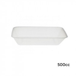 5R0500 Env.Rect. S/T-PP--168x119x43-500 cc-500