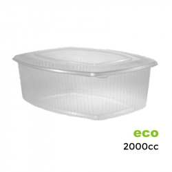 Envase Bisagra PP/2.000 c.c.- 25 - 200