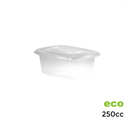 Envase Bisagra PP 250 cc. 50 - 900